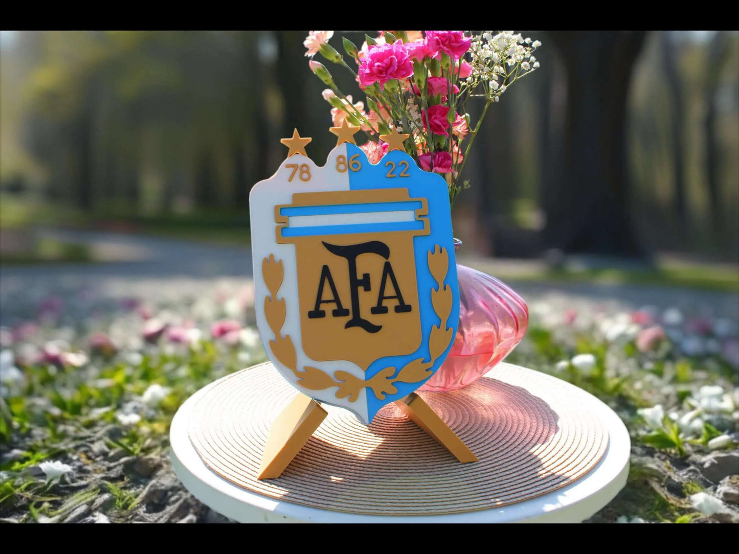 3D printed Argentina AFA emblem on display, celebrating football legacy with vibrant colors, no assembly or painting required.